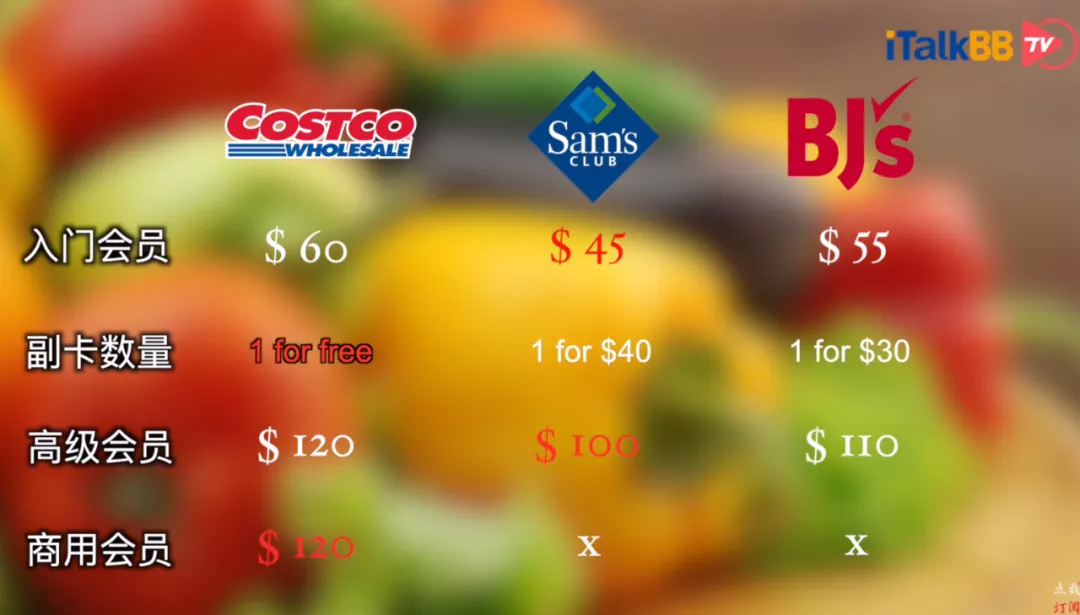 iTalkBB TV 原创 疫情购物攻略