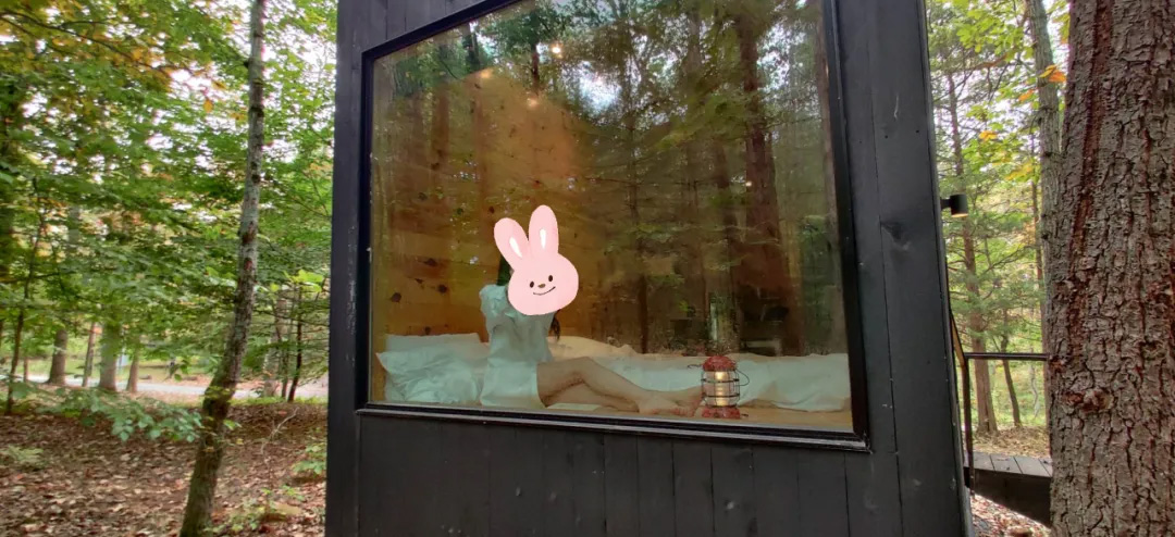 北美小木屋,Getaway