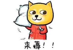 返利网,Rakuten,TopCashback,Befrugal