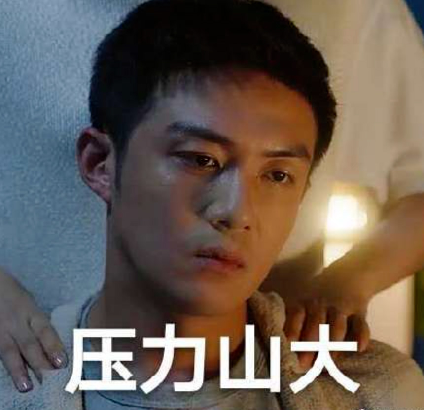 金岁月,章安仁,刘诗诗,倪妮