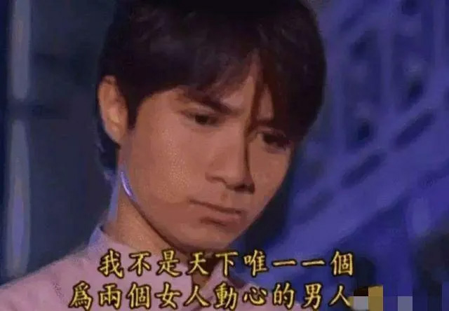 金岁月,章安仁,刘诗诗,倪妮