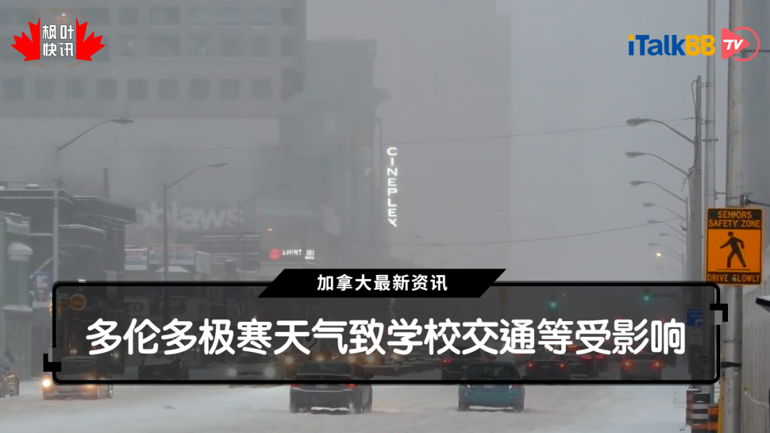 中南部大雪,德州停电,交通瘫痪,一氧化碳中毒,加拿大极寒,新冠变种,疫苗接种