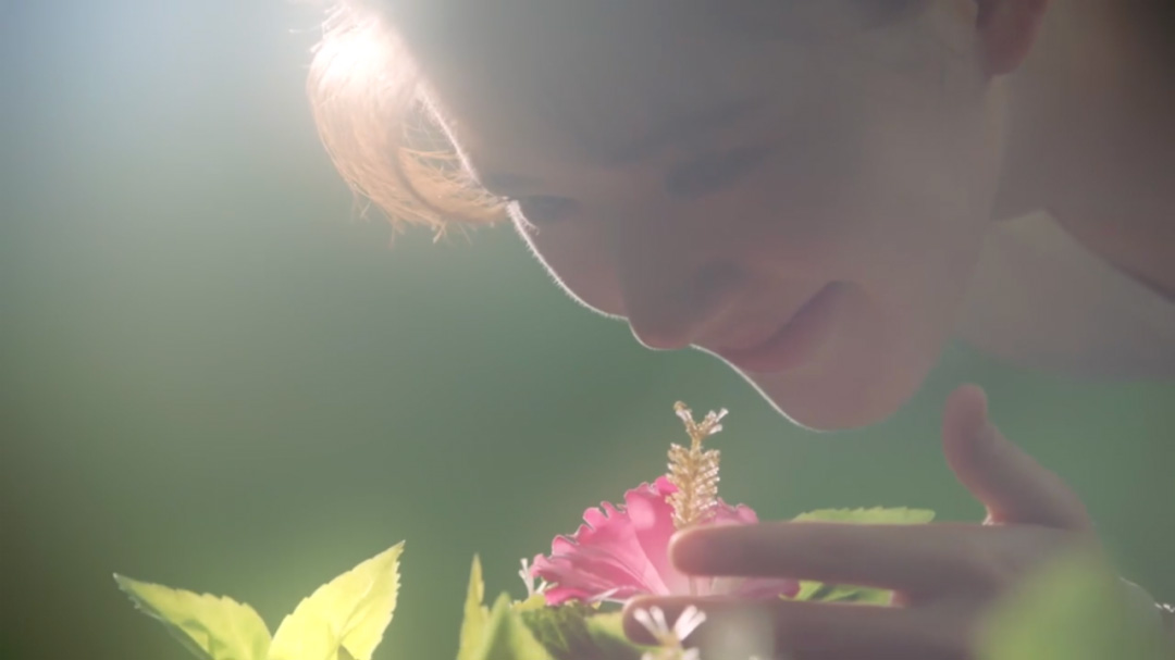 赵露思,迪丽热巴,吴磊,长歌行,李世民,周深,骊歌行,暴风舞,皓衣行,突围