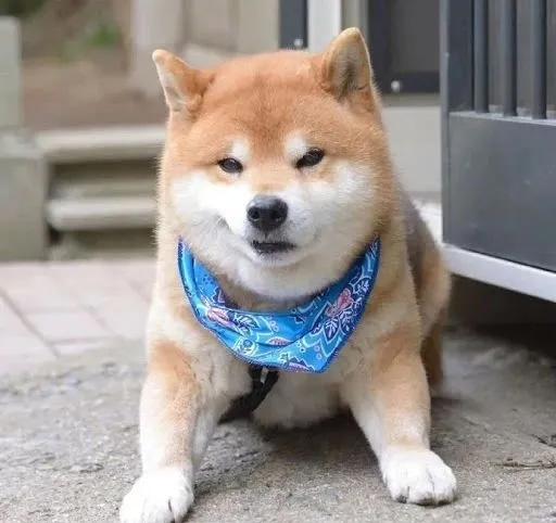 Natalia二婚嫁LV太子,水果娜,挪威王室,平民王妃,骊歌行,李一桐,许凯,辣目洋子,流金岁月,正青春