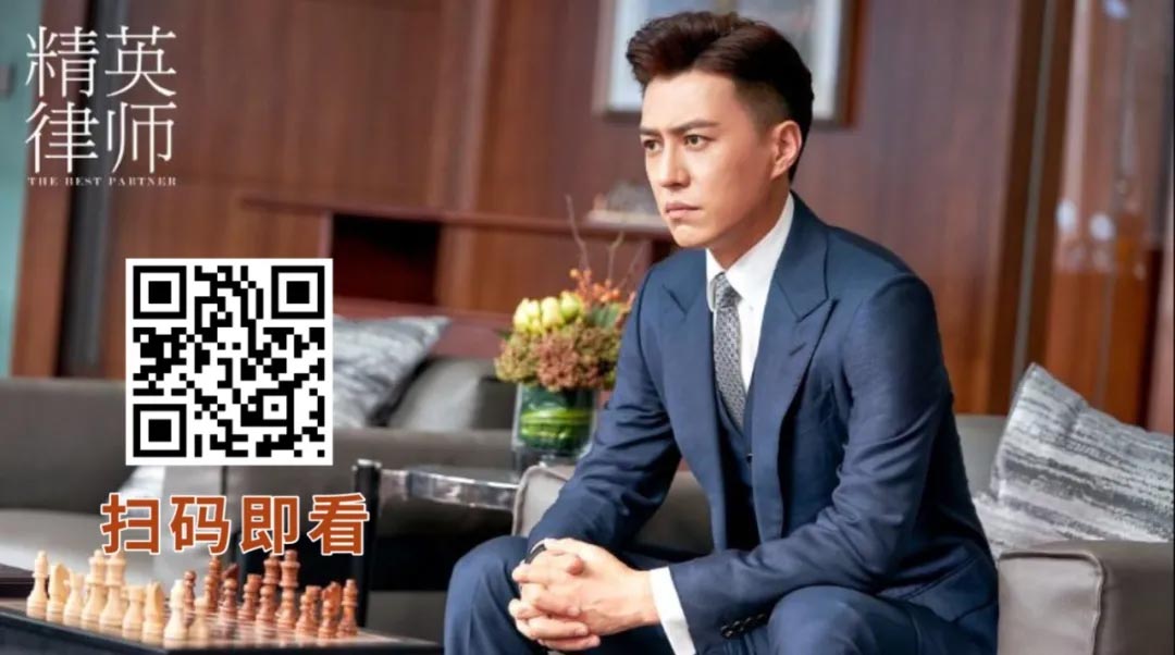 壮志高飞,冲上云霄,陈乔恩,郑凯,胡兵,精英律师,我的前半生,急诊科医生,大江大河2