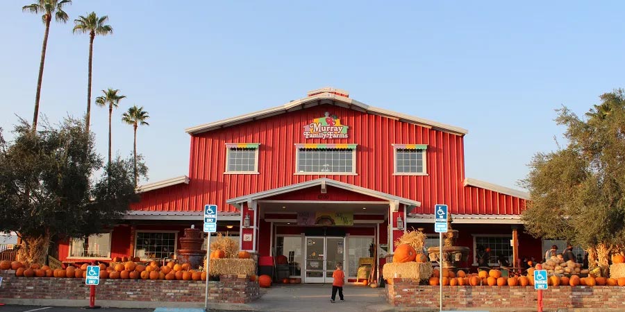 农场采摘,Crystal Bay Farm,Gizdich Ranch,Berry Best Farm,Berry Best Farm,Murray Family Farms,Riley’s Farm,Messick's Farm,Great Country Farms,Butler’s Orchard,Lewin Farms,Alstede Farms,Patty’s Berries and Bunches
