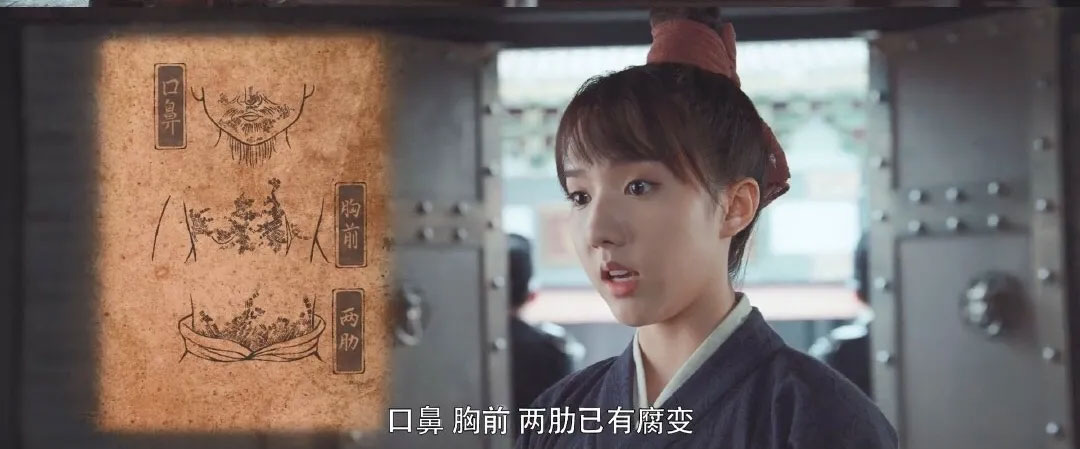 御赐小仵作,央视点名,央视楼健,女扮男装,苏晓彤,王子奇