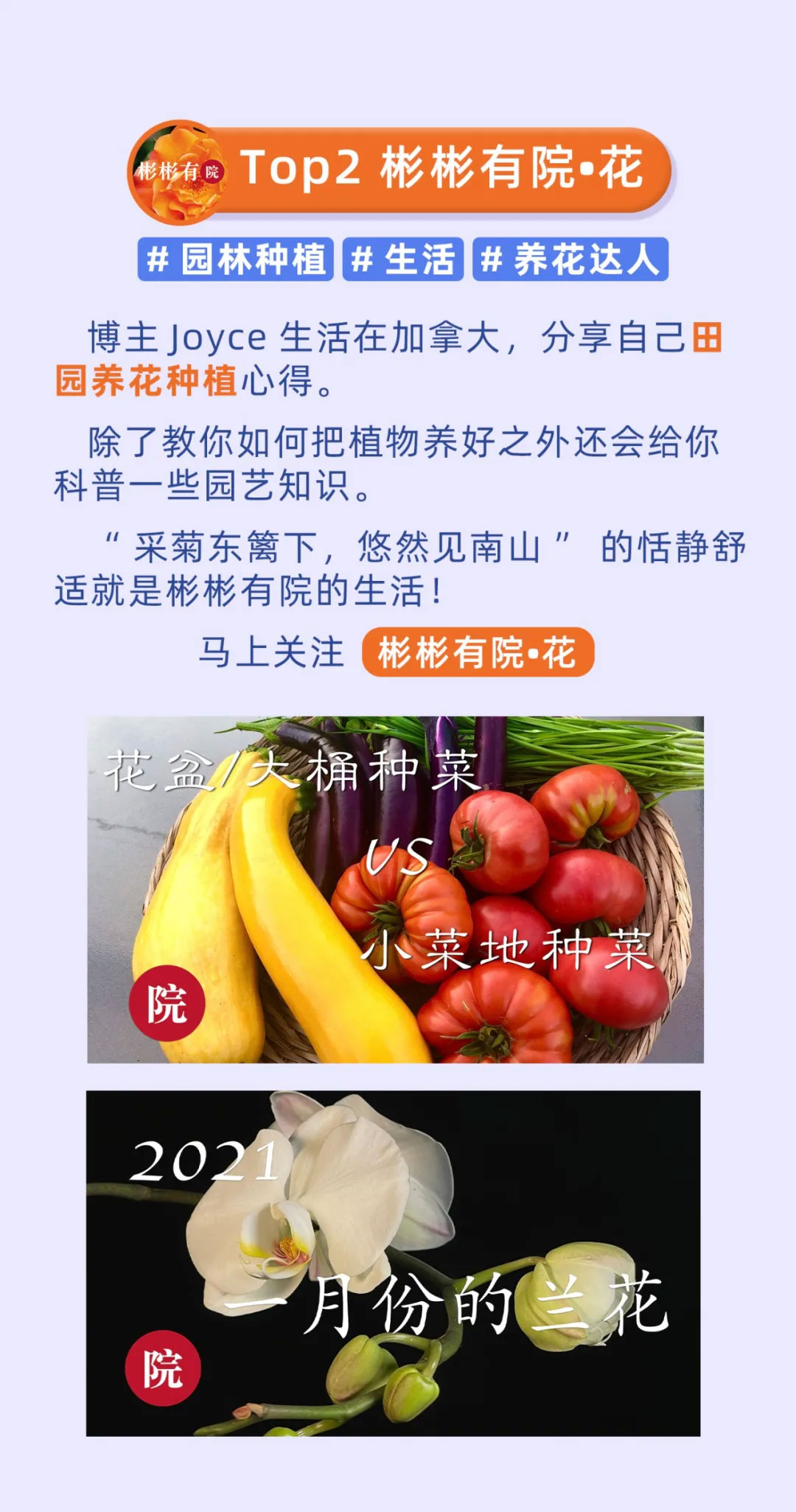 iTalkBB TV明星博主,纽约老尤,彬彬有院,萨姐的南腔北调