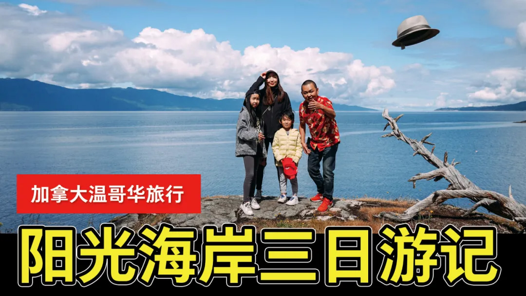 活动规则,美食博主,生活博主,影视博主,新闻资讯