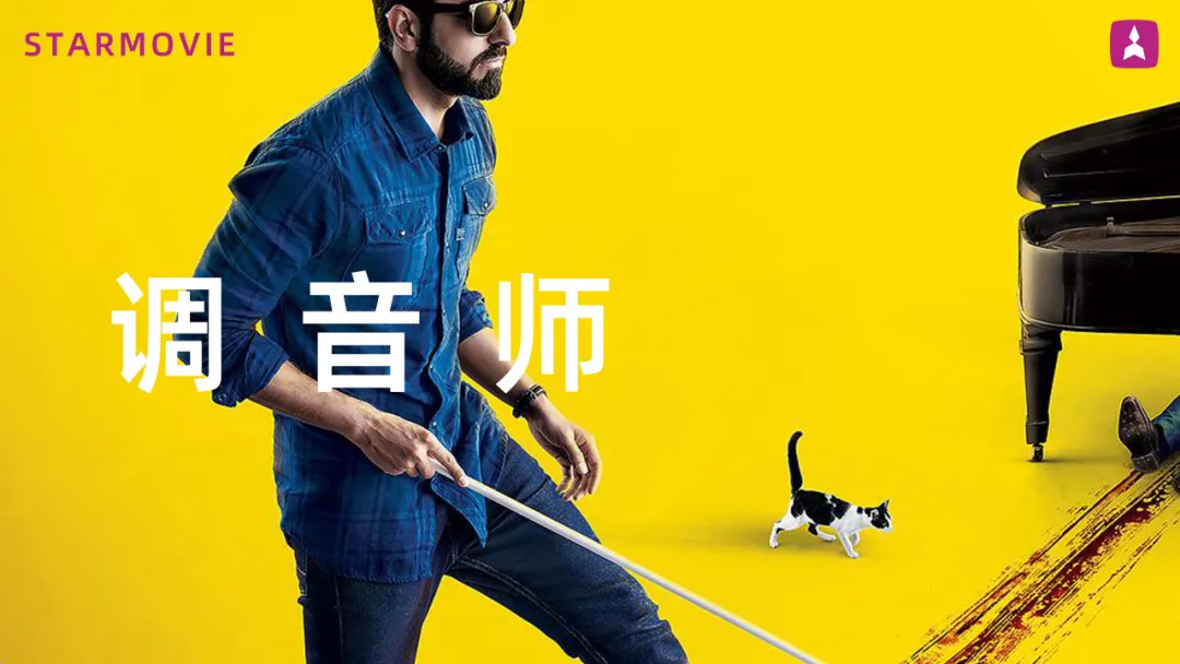 活动规则,美食博主,生活博主,影视博主,新闻资讯