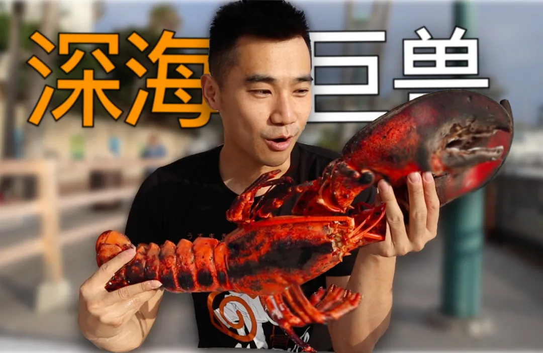 活动规则,美食博主,生活博主,影视博主,新闻资讯