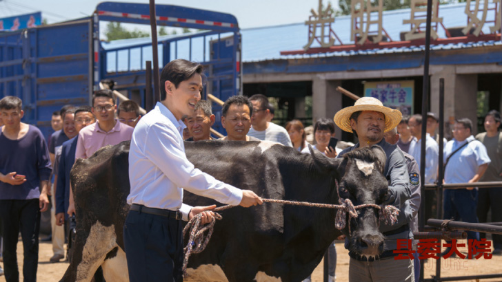 县委大院： 胡歌的亲和力