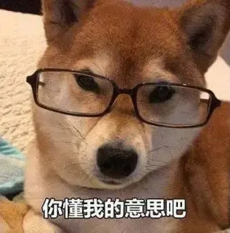 iTalkBB TV 影视 秦昊 《如懿传》《庆余年》《清平乐》《王牌对王牌》